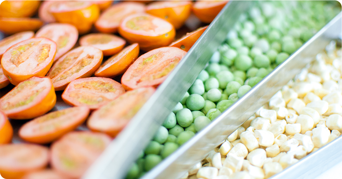 From Fresh to Forever How to Freeze Dry Food at Home